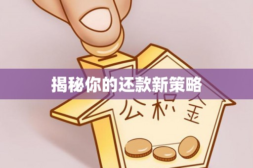 翁牛特旗揭秘你的还款新策略