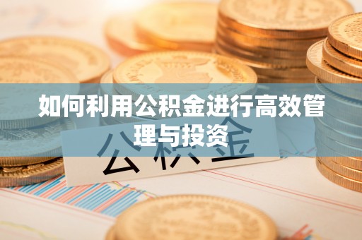 翁牛特旗如何利用公积金进行高效管理与投资